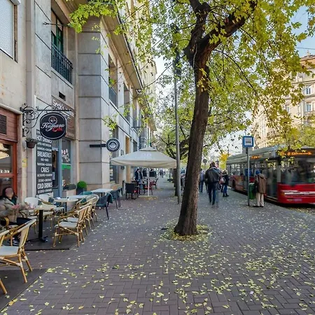 Extrem - Comfy * Budapest